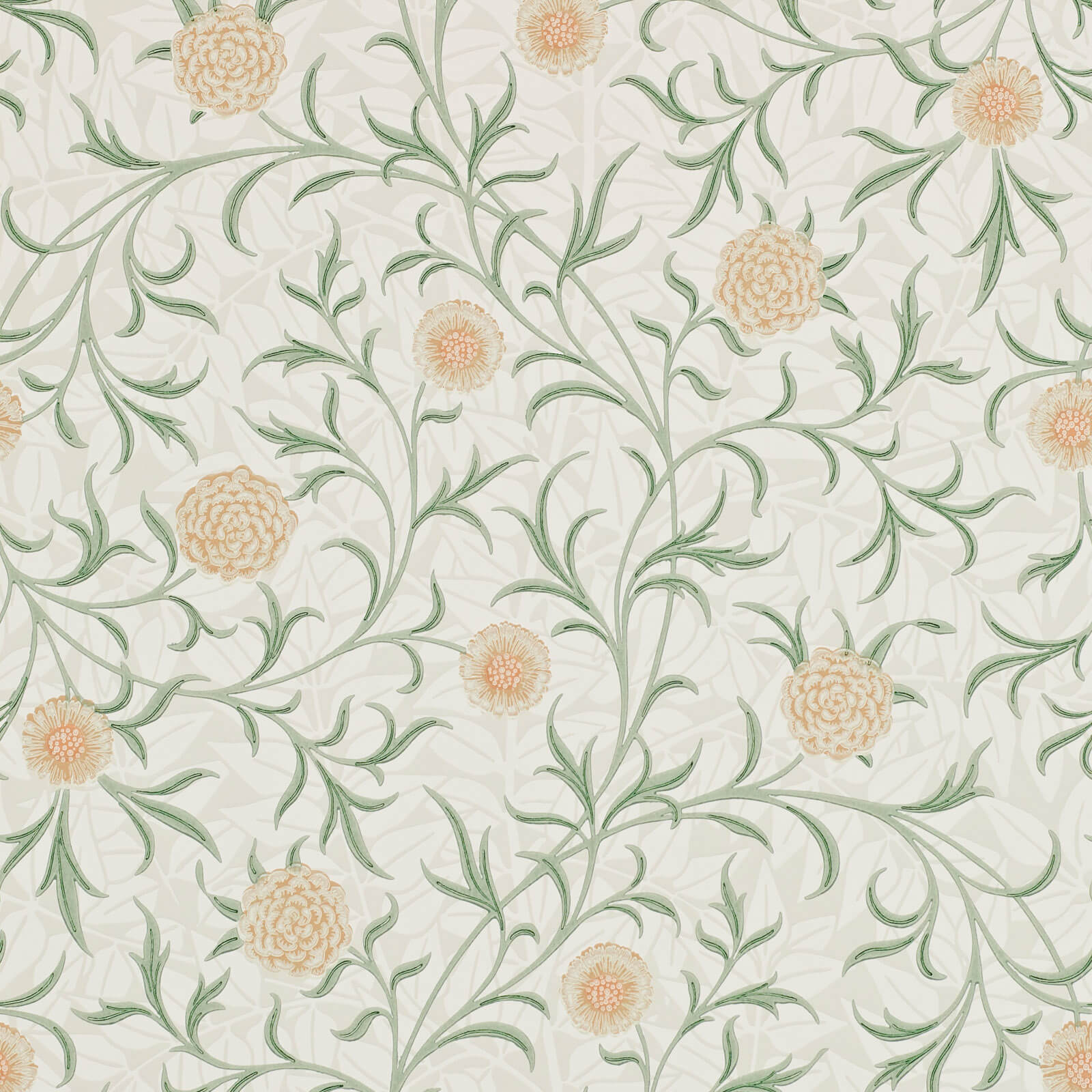 Scroll Thyme/Pear