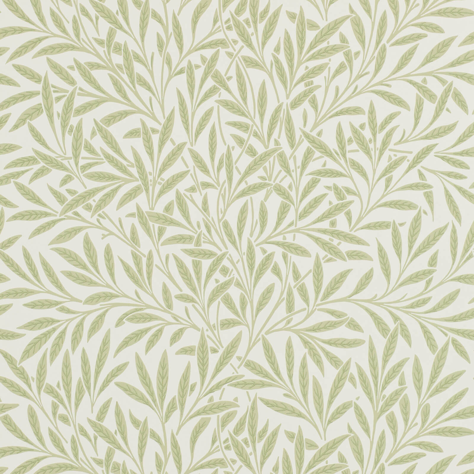 Willow Olive
