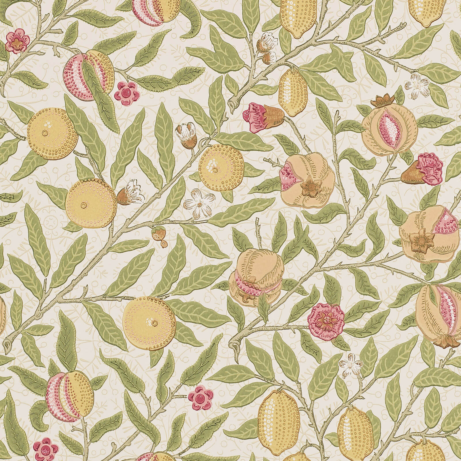 Fruit Limestone/Artichoke
