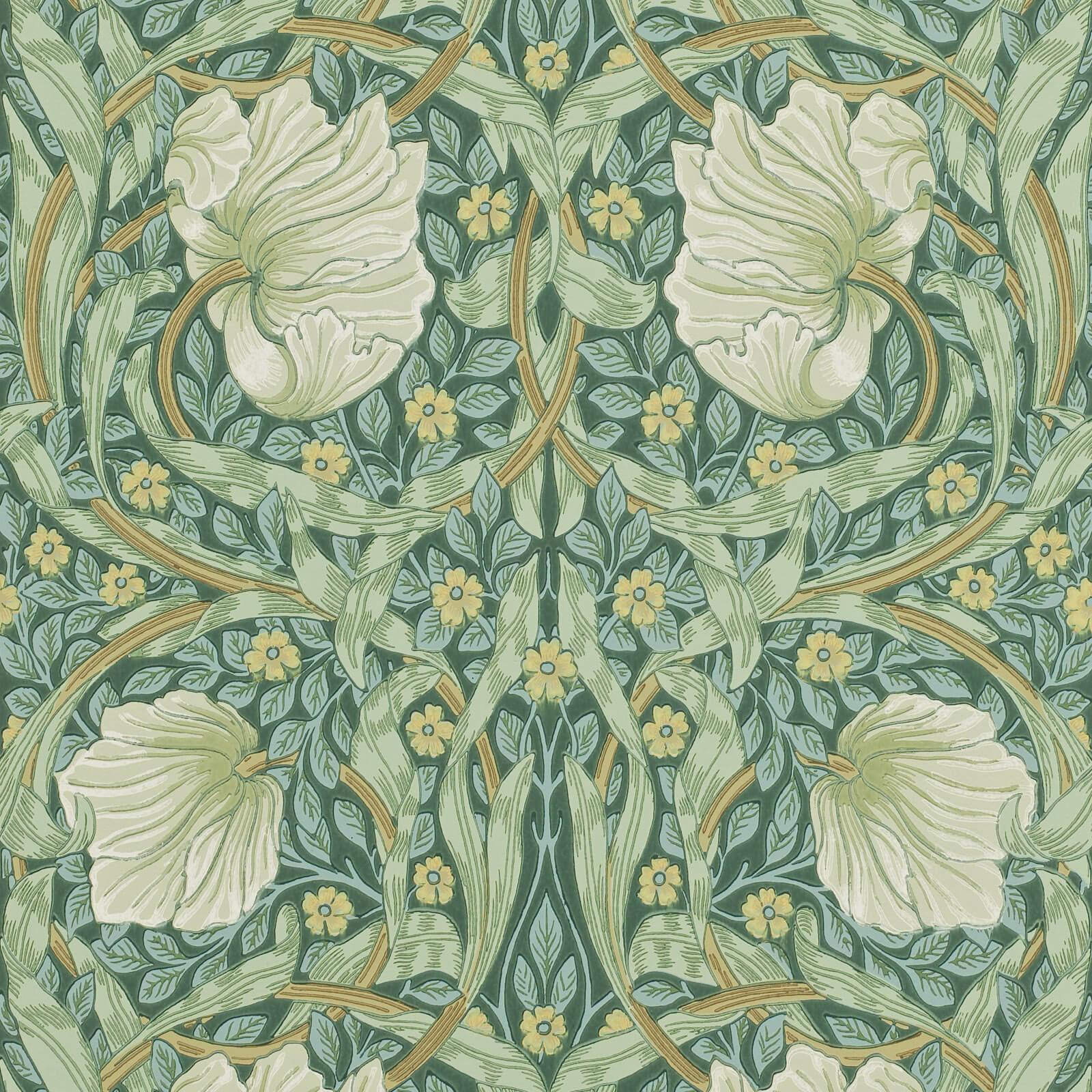 Pimpernel Privet/Slate