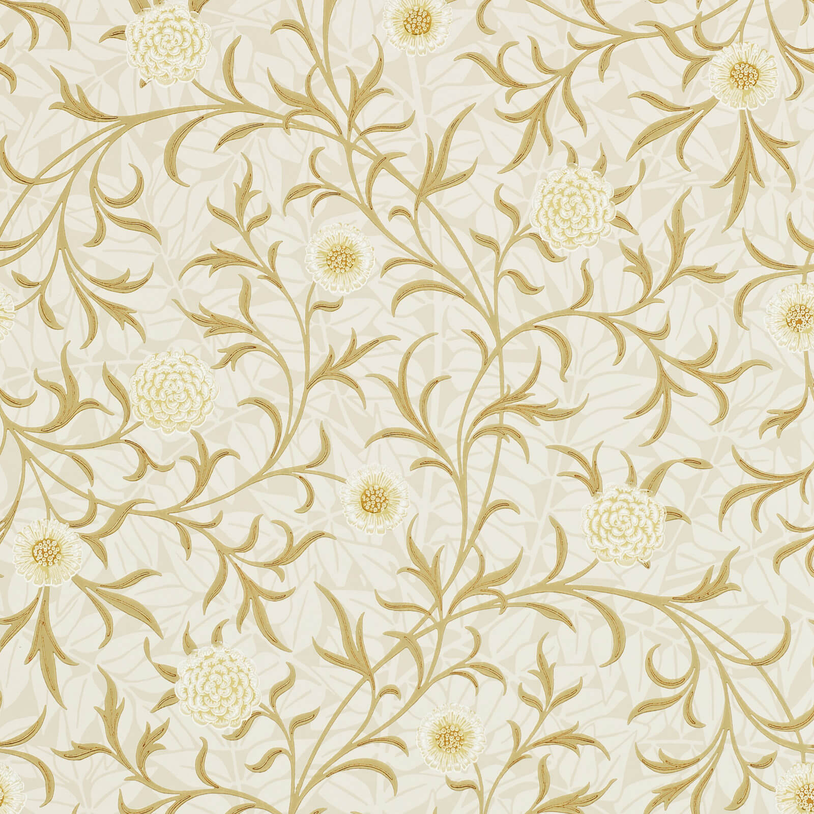 Scroll Vellum/Biscuit
