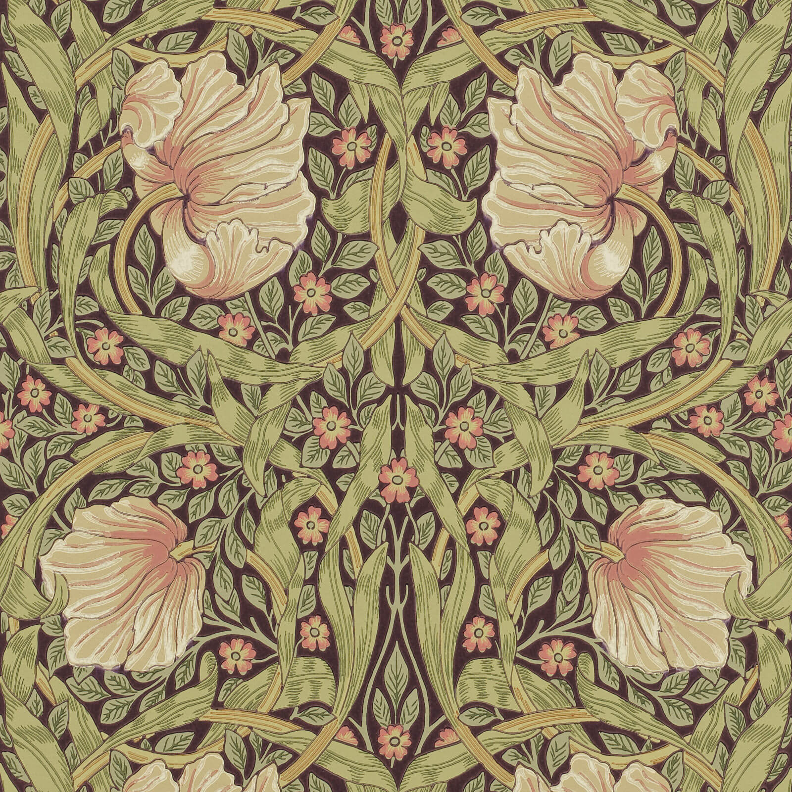 Pimpernel Bullrush/Russet