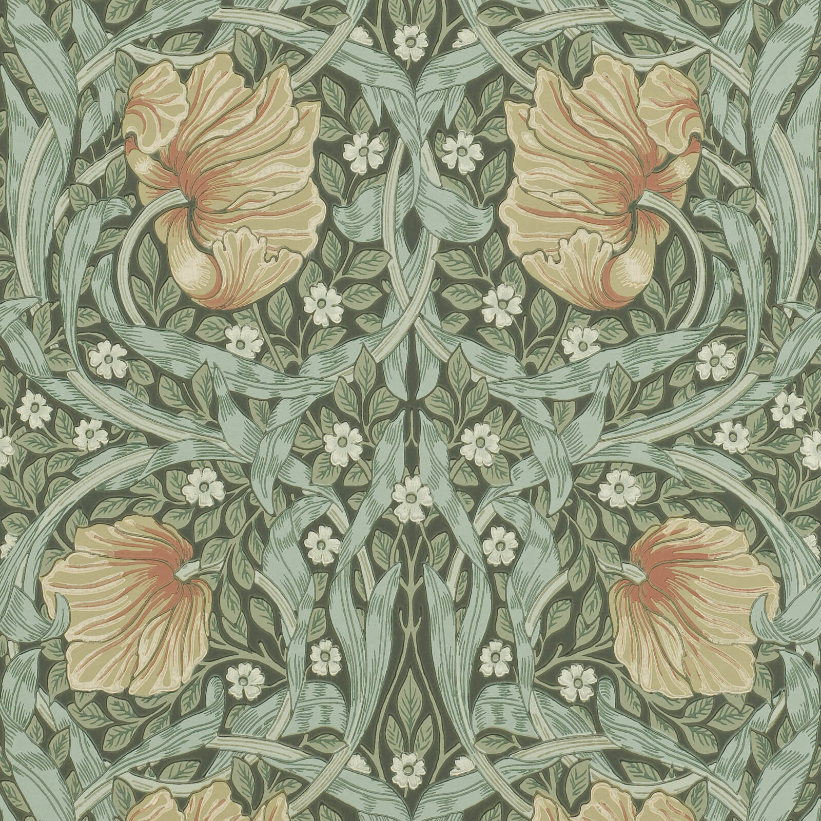 Pimpernel Bayleaf/Manilla